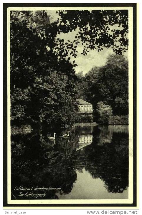 Sondershausen  ,  Im Schlosspark  -  Ansichtskarte Ca.1934    (1379) - Sondershausen