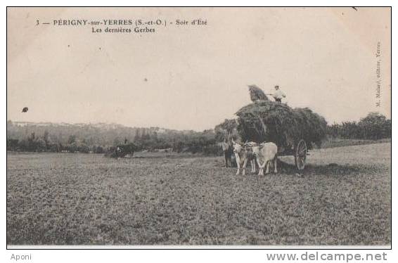 .PERIGNY SUR YERRES ( Les Dernieres Gerbes ) - Perigny