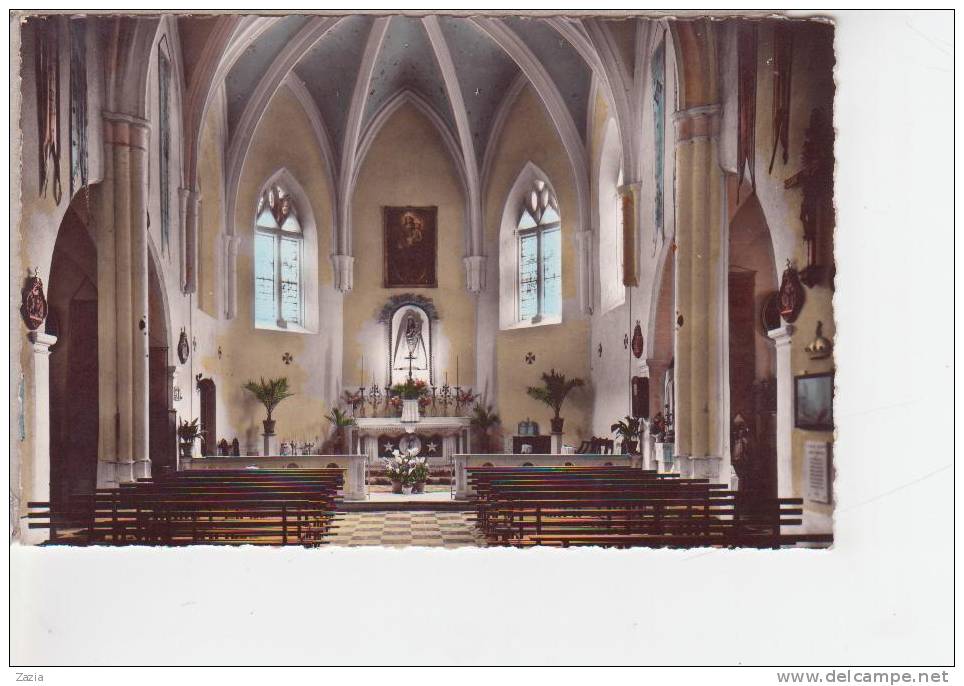 83.039/ COTIGNAC - L'église Cpsm - Cotignac