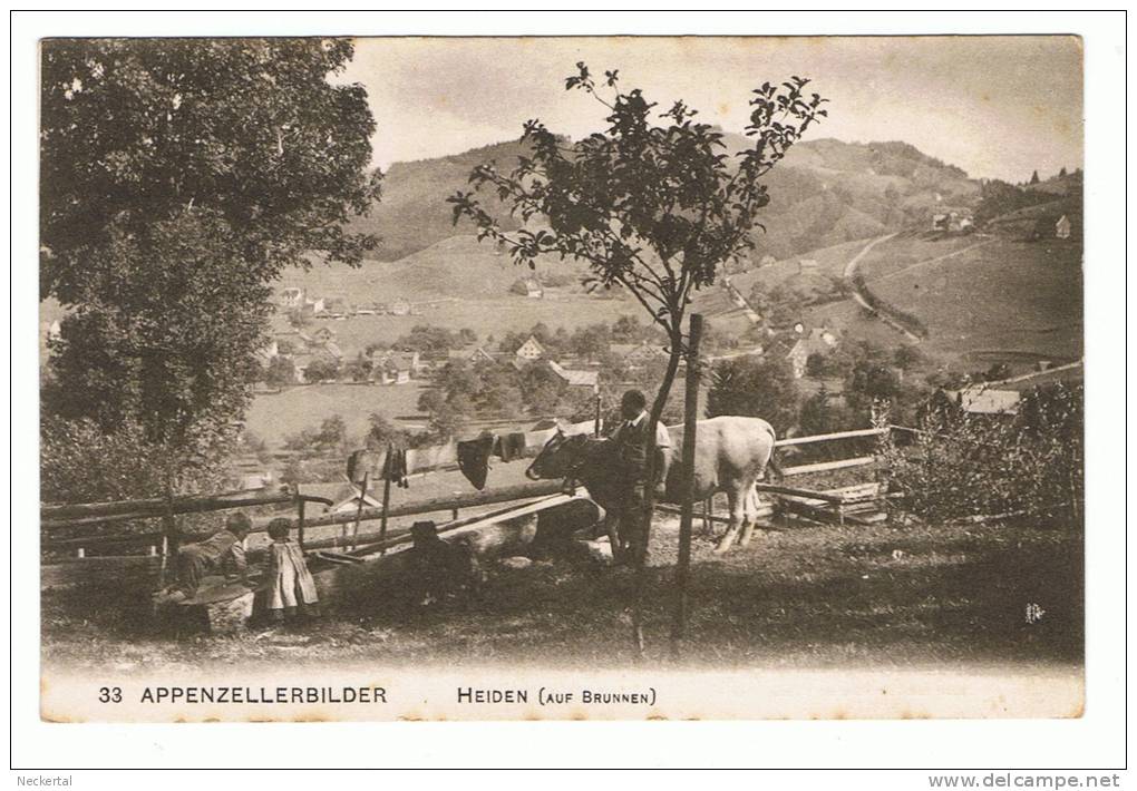 Appenzellerbilder  Heiden ( Auf Brunnen) - Belebt - Heiden