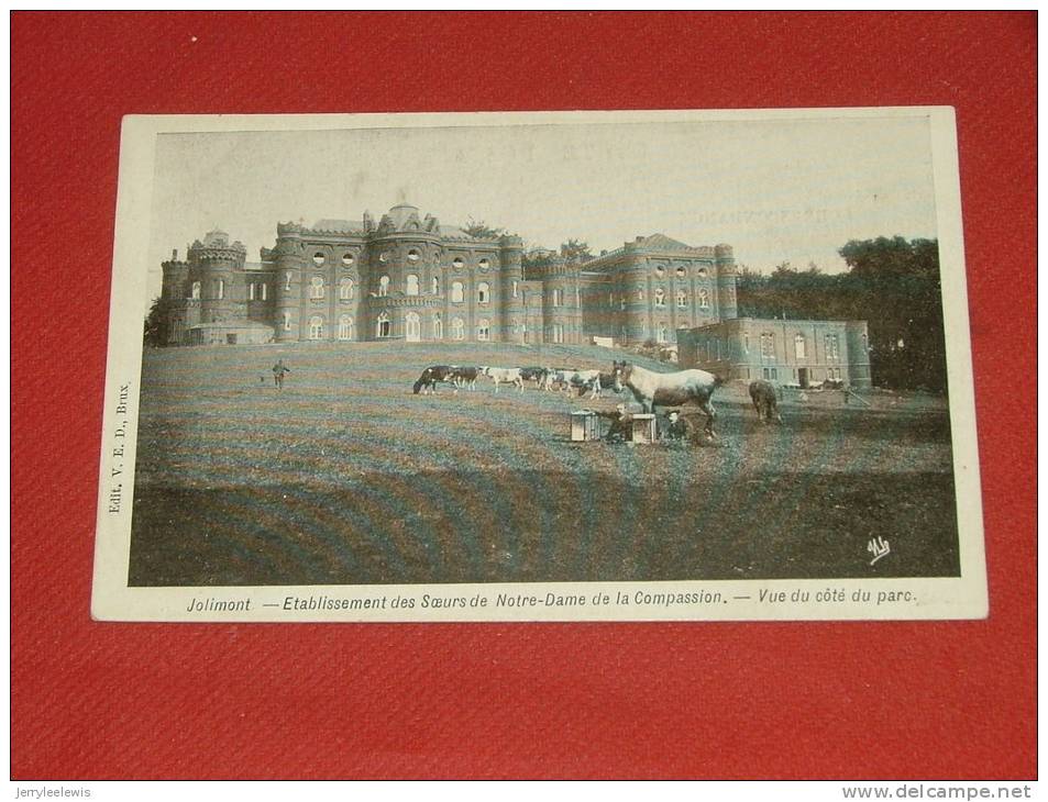 JOLIMONT  - Etablissement Des Soeurs De Notre Dame De La Compassion - Vue Côté Du Parc - La Louviere