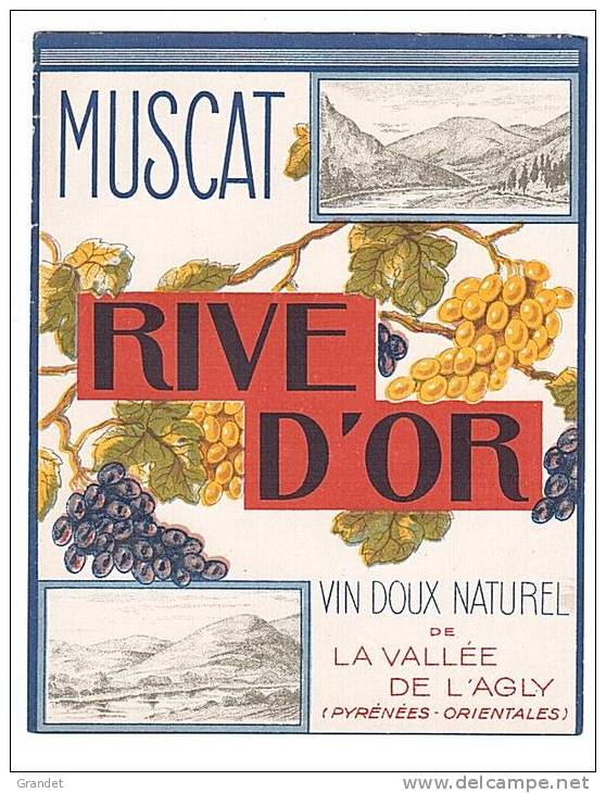 ETIQUETTE - MUSCAT - RIVE D´OR - VALLEE DE L´AGLY. - Languedoc-Roussillon