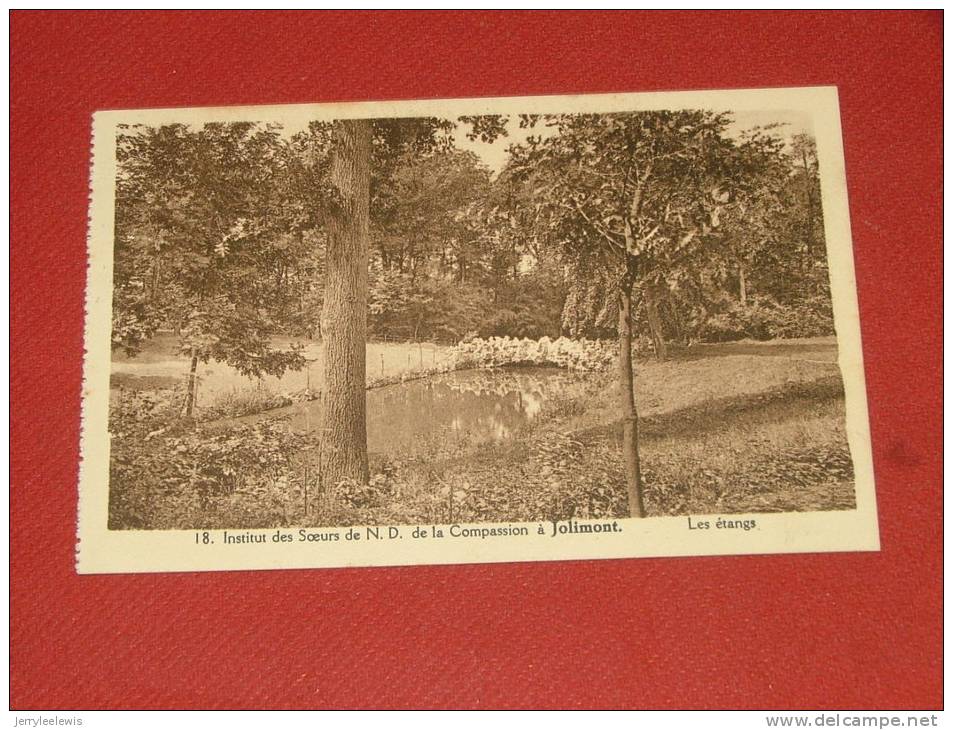 JOLIMONT  - Etablissement Des Soeurs De Notre Dame De La Compassion - Les Etangs - La Louvière