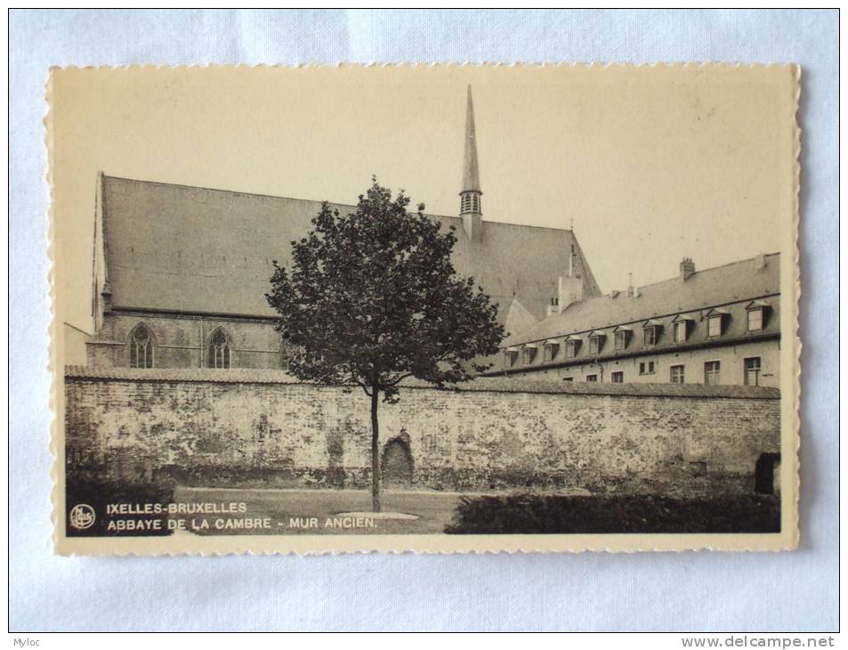 Ixelles. Elsene. Abbaye De La Cambre. Abdij Ter Kameren. Mur Ancien. - Elsene - Ixelles