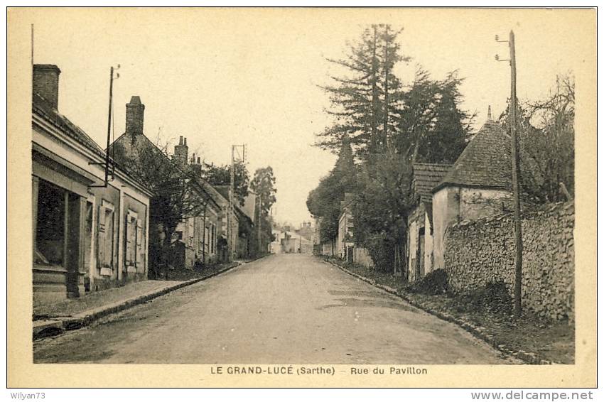 LE GRAND-LUCE Rue Du Pavillon - Le Grand Luce