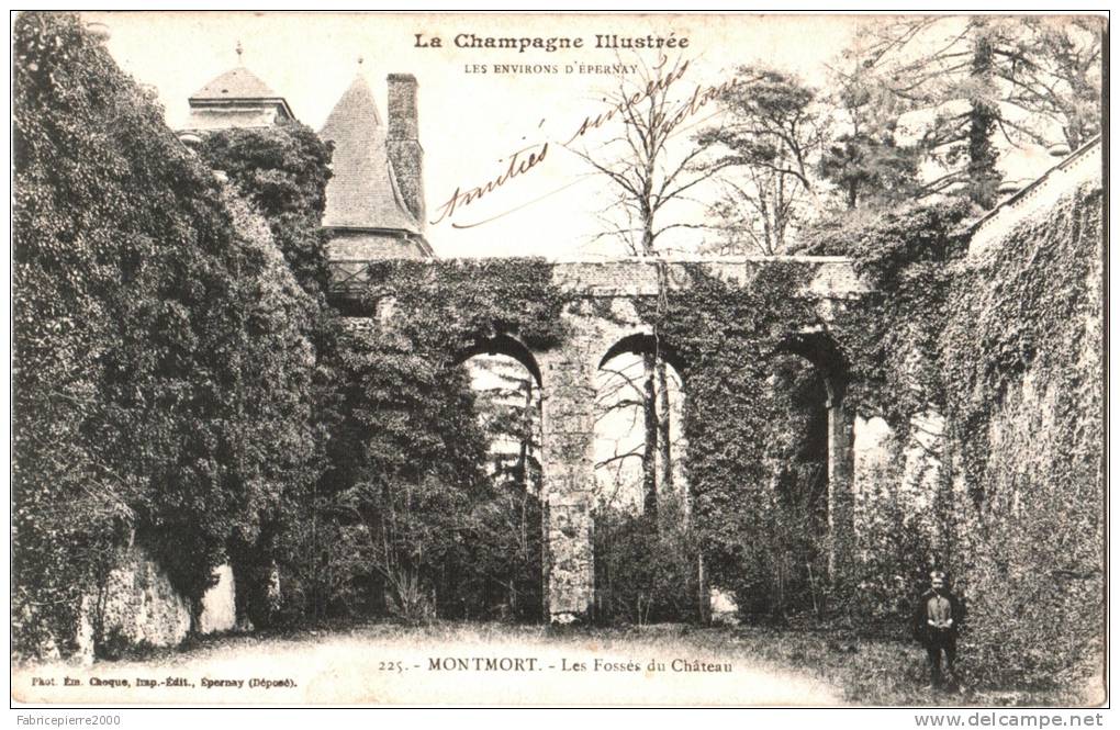 CPA Montmort - Les Fossés Du Château - Montmort Lucy