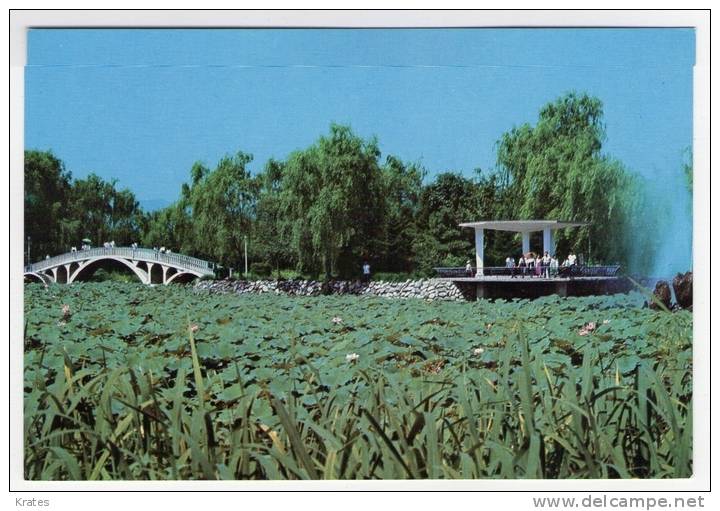 Postcard - North Korea    (V 15009) - Corée Du Nord