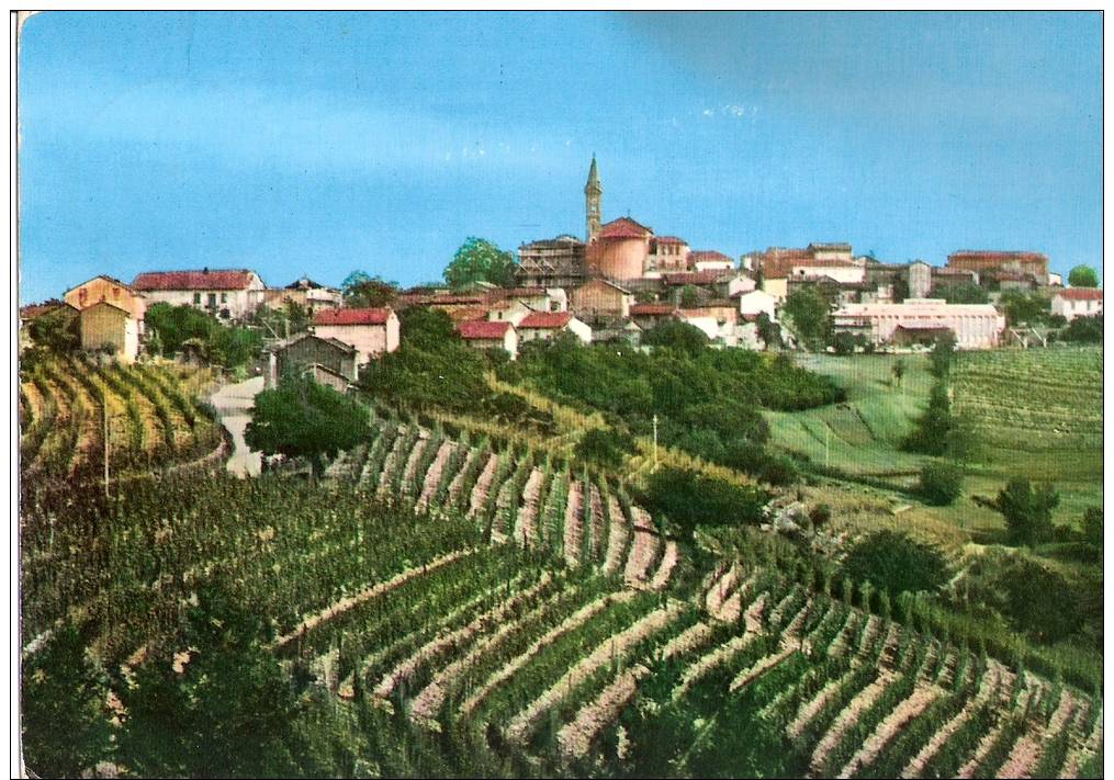 Castel Rocchero Panorama Da Ponente Zona Di Vini  Pregiati Asti - Asti