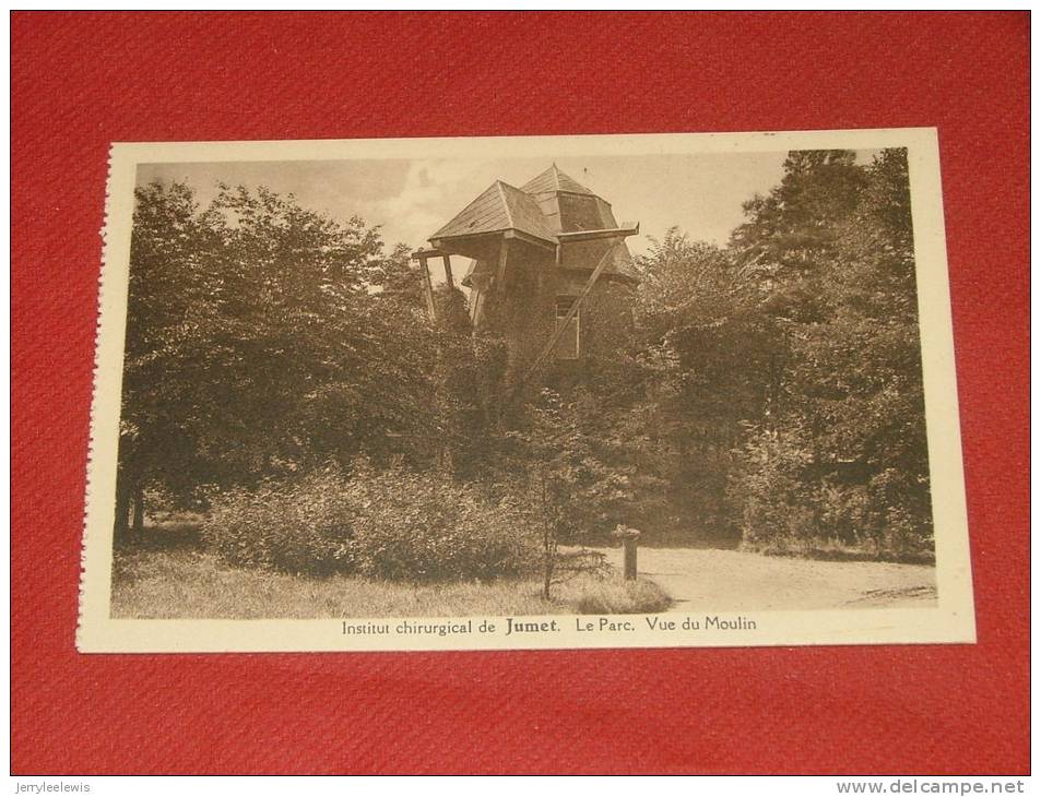 JUMET  HEIGNE - Institut Chirugical De Jumet -  Le Parc - Vue Du Moulin - Charleroi