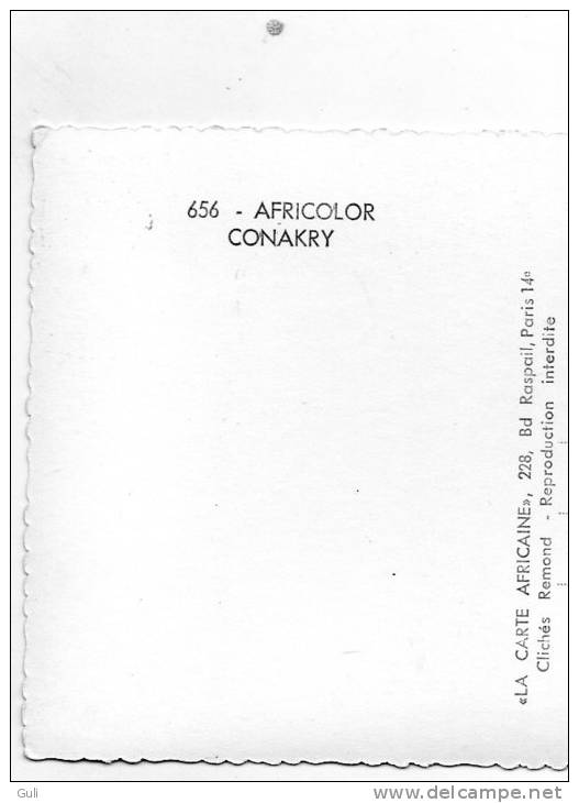 Afrique-Guinée-CONAKRY-(3) (Animation )- AFRICOLOR (Cpsm Photo Editions:La Carte Africaine N°656) *PRIX FIXE - Guinée