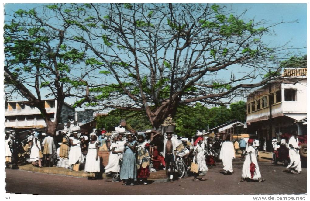 Afrique-Guinée-CONAKRY-(6 ) (Animation )- AFRICOLOR (Cpsm Photo Editions:La Carte Africaine N°656) *PRIX FIXE - Guinée