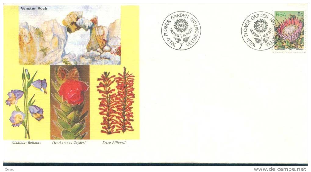 Flower   , Michel 526, South Africa FDC 1977 - Covers & Documents
