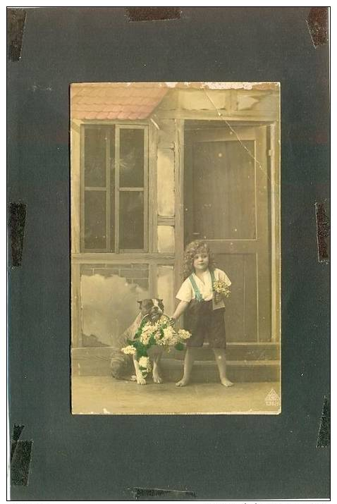 BEAUTIFUL GIRL PHOTO CARD 28407 DOG WHITE FLOWER BASKET WINDOW DOOR - Chiens