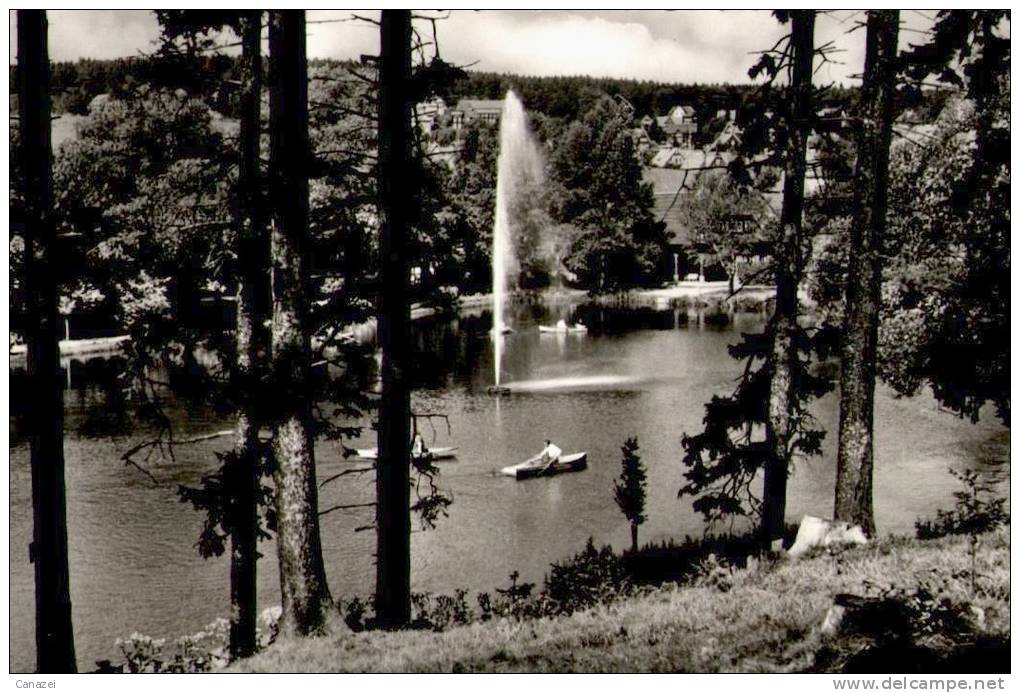 AK Braunlage, Durchblick Auf Den Gondelteich, Ung - Braunlage