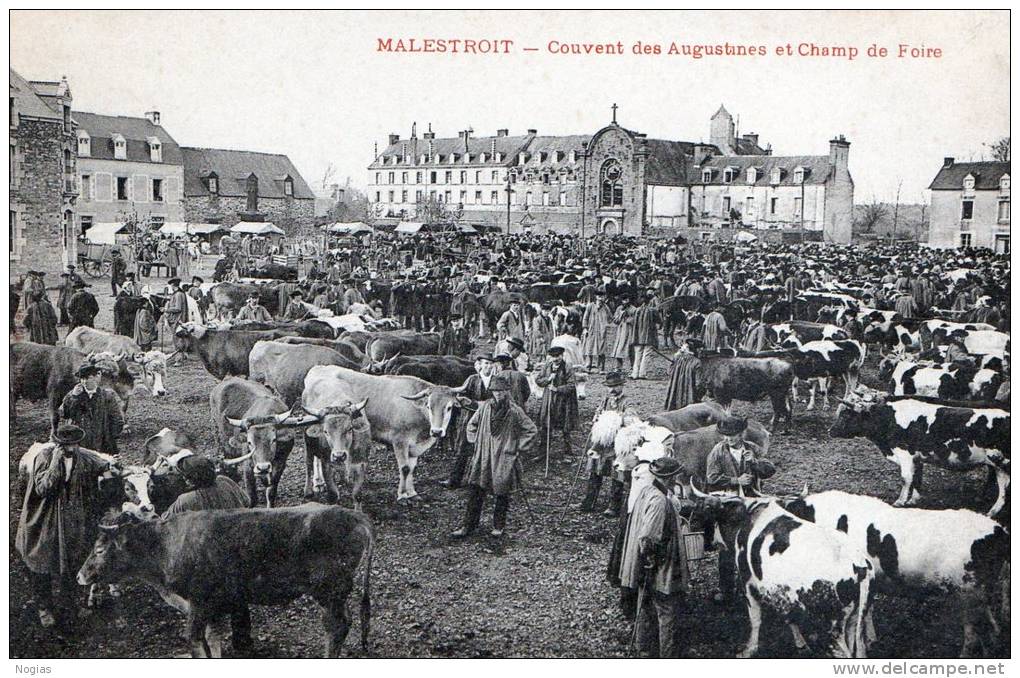 MALESTROIT - LE CHAMP DE FOIRE, AU FOND LE COUVENT DES AUGUSTINS - SUPERBE CARTE TRES TRES ANIMEE -  TOP !!! - Malestroit