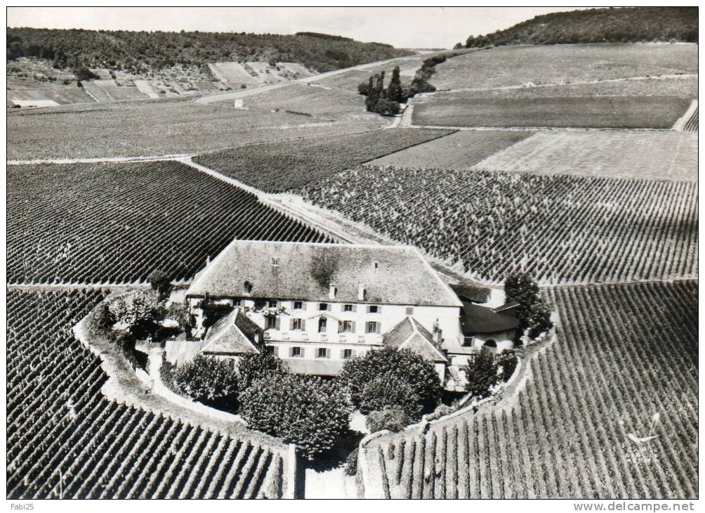 ALOXE CORTON La Cuverie Du Château Corton Grancey Propriété Louis Latour - Autres & Non Classés