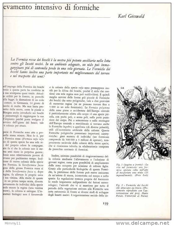 Enciclopedia Delle Scienze Biologiche - !961 - La Materia Vivente- Vol. N°02- L´Universo Animale- Prima Edizione - Enzyklopädien