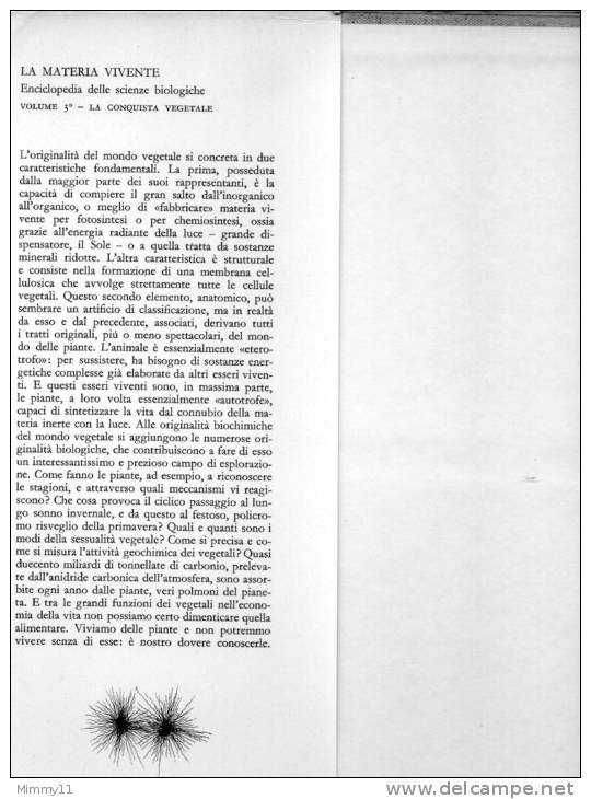 Enciclopedia Delle Scienze Biologiche - !961 - La Materia Vivente- Vol. N°03- La Conquista Vegetale- Prima Edizione - Encyclopédies