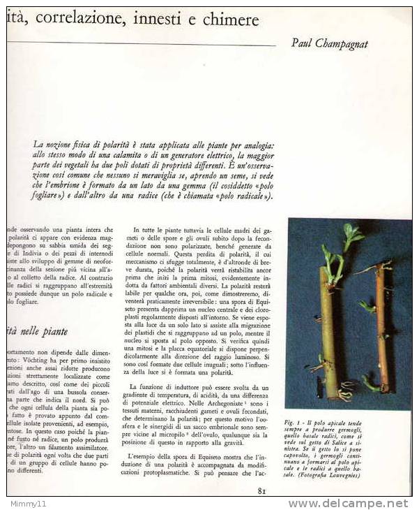 Enciclopedia Delle Scienze Biologiche - !961 - La Materia Vivente- Vol. N°03- La Conquista Vegetale- Prima Edizione - Enzyklopädien