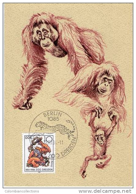 Lote TM2, DDR, 1986, Tarjeta Maxima, Maximun Card, Zoo, Mono, Monkey, 4 V - Chimpanzés