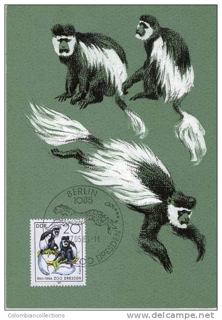 Lote TM2, DDR, 1986, Tarjeta Maxima, Maximun Card, Zoo, Mono, Monkey, 4 V - Chimpancés