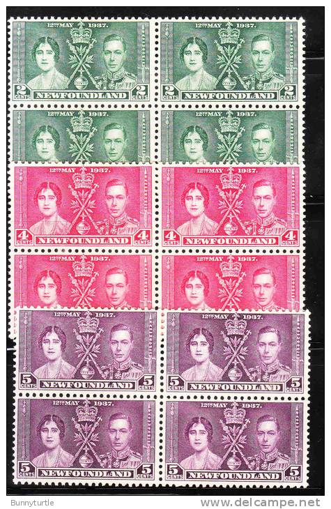 Newfoundland 1937 Coronation Issue Omnibus Blk Of 4 MNH - 1908-1947