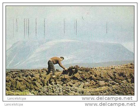 IRELAND / STACKING TURF IN DONEGAL - Donegal