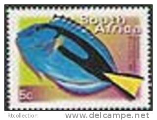 Republic Of South Africa 2000 - One Marine Life Sealife Fish Animal Fauna RSA Definitive Stamp MNH SACC 1288 SG 1205 - Ungebraucht