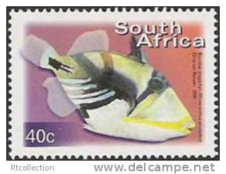 Republic Of South Africa 2000 - One Marine Life Sealife Fish Animal Fauna RSA Definitive Stamp MNH SACC 1292 SG 1209 - Nuevos