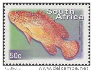 Republic Of South Africa 2000 - One Marine Life Sealife Fish Animal Fauna RSA Definitive Stamp MNH SACC 1293 SG 1210 - Unused Stamps