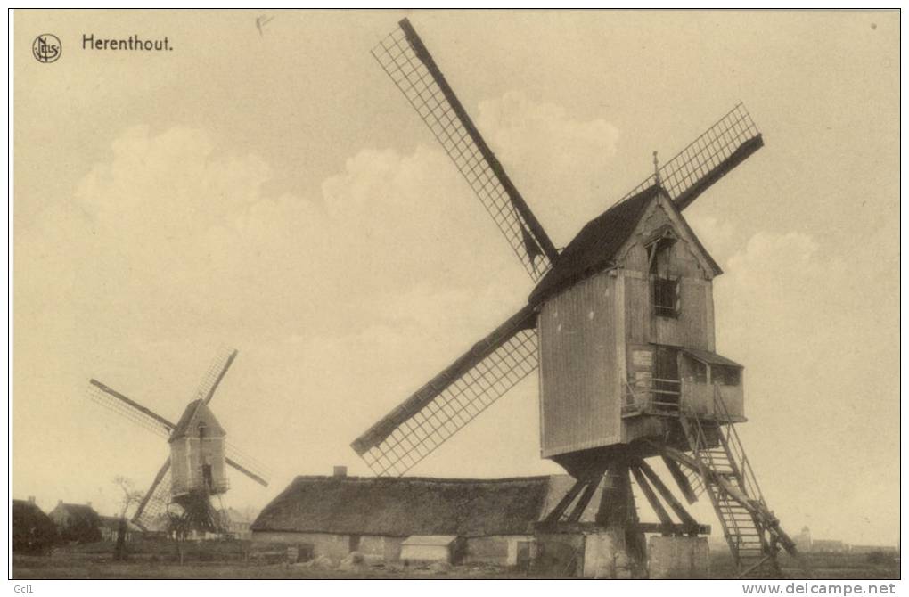 Herenthout - Molen - Herenthout