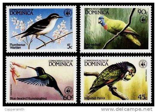 (003 W) Dominica  Birds / Oiseaux / Vögel / Vogels / WWF  ** / Mnh  Michel 836-39 - Dominica (1978-...)