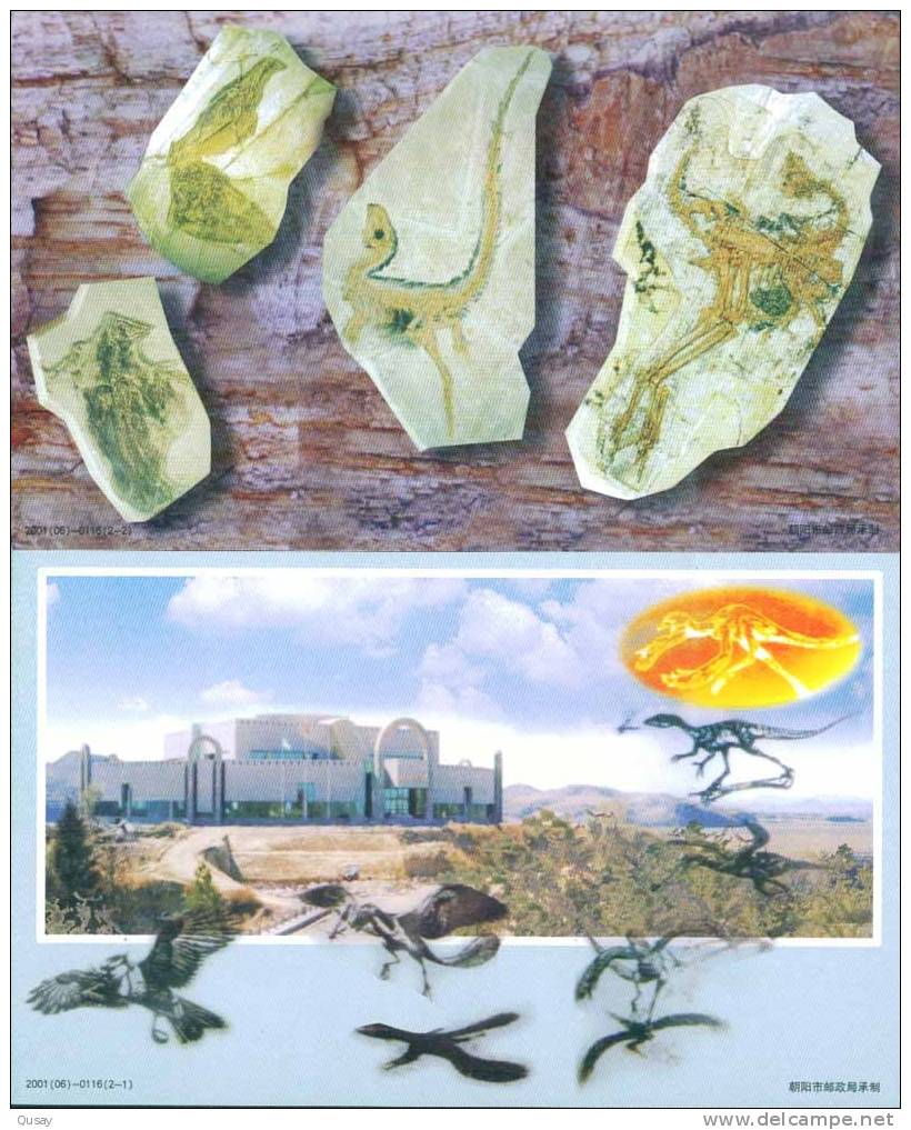 Fossils Dinosaur &#65292;Chaoyang Fossil Museum ,    2  Pre-stamped Cards , Postal Stationeries - Fossiles