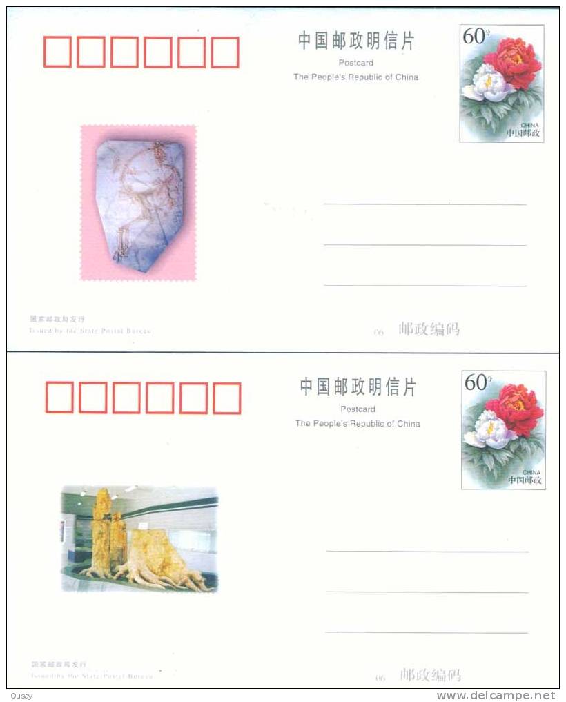 Fossils Dinosaur &#65292;Chaoyang Fossil Museum ,    2  Pre-stamped Cards , Postal Stationeries - Fossielen