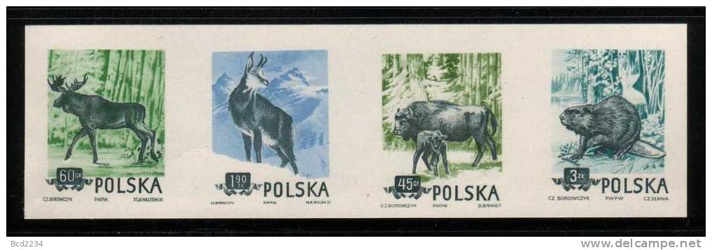 POLAND 1954 SLANIA RARE BEAVER & ANIMALS COLOUR PROOF STRIP OF 4 Bison Beaver Deer Moose Antelope Goat Mountians Forests - Ensayos & Reimpresiones