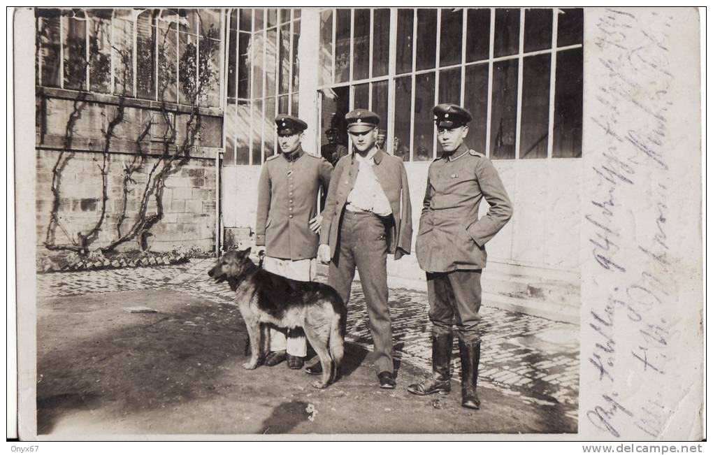 Carte Postale Militaire Allemand -LAZARETT-MARBURG A.d. LAHN-Maitre-chien -HOPITAL   -2 SCANS - - Marburg