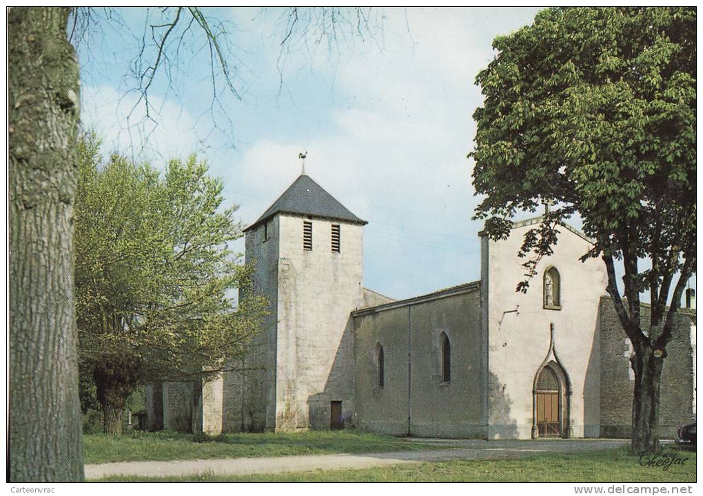 875 Cpsm Deux Sèvres  79  EPANNES L´église - Otros & Sin Clasificación