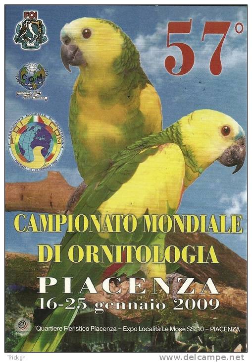 Italia Piacenza 2009 / Championato Mondiale De Ornitologia / Héron Reiger Heron / Perroquet Papegaai Parrot / 2 Scans - Afstempelingen & Vlagstempels