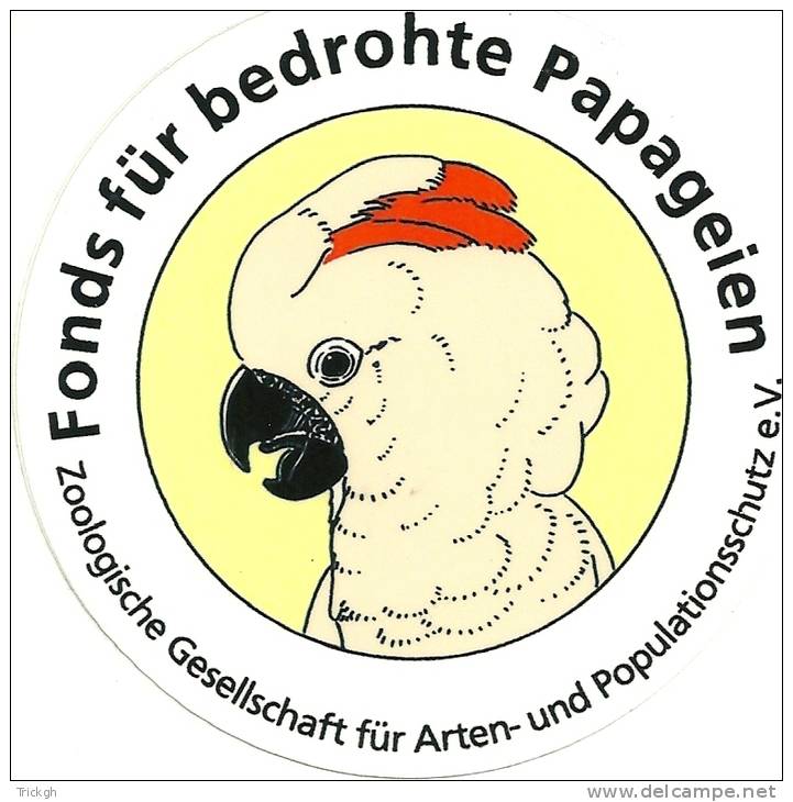 Auto-collant Zelfklever Sticker / Perroquet Papegaai Parrot Papageien - Zonder Classificatie