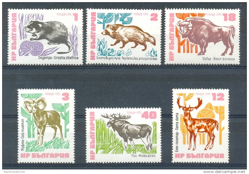 MR644 FAUNA ZOOGDIEREN HERT DAS BISON MAMMALS BADGER DEER BIZON DAMHIRSCH MARDERHUND BISAMRATTE BULGARIA 1973 PF/MNH # - Game