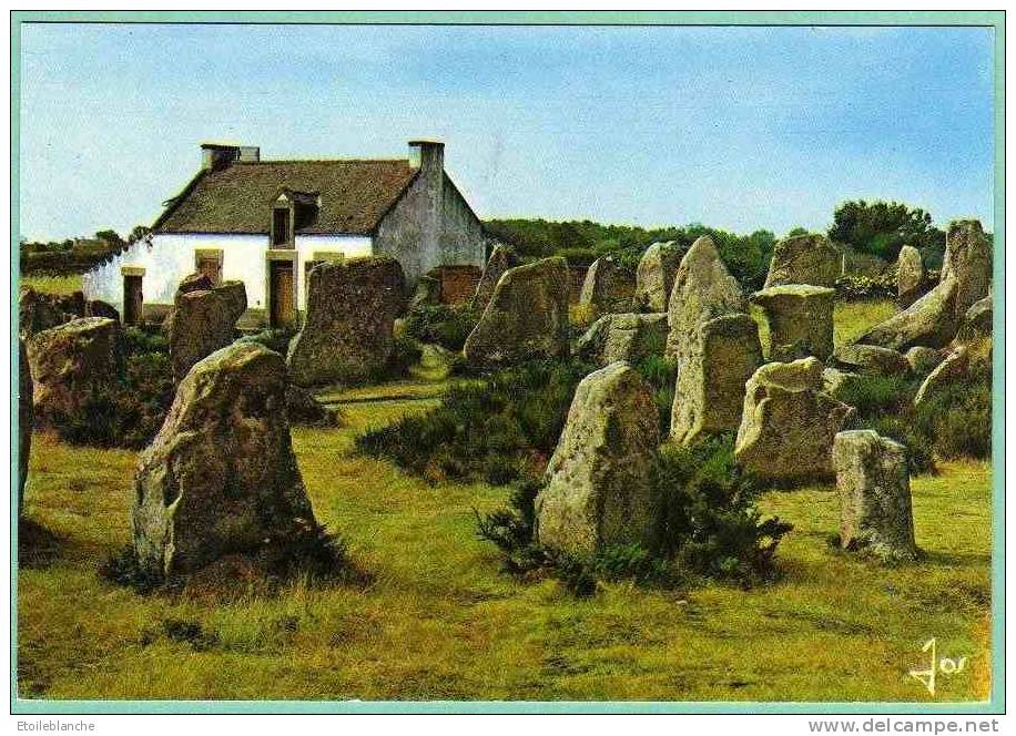 Bretagne ERDEVEN (56 Morbihan) Alignements Menhirs, Région De Carnac / éditions D'art JOS MX 3597 - Erdeven