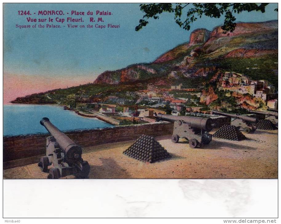 MONACO - Place Du Palais - Vue Sur Le Cap Fleuri (1244) - Palacio Del Príncipe