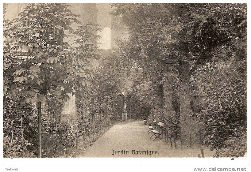 IXELLES-ARBRE BENIT-JARDIN BOTANIQUE - Elsene - Ixelles