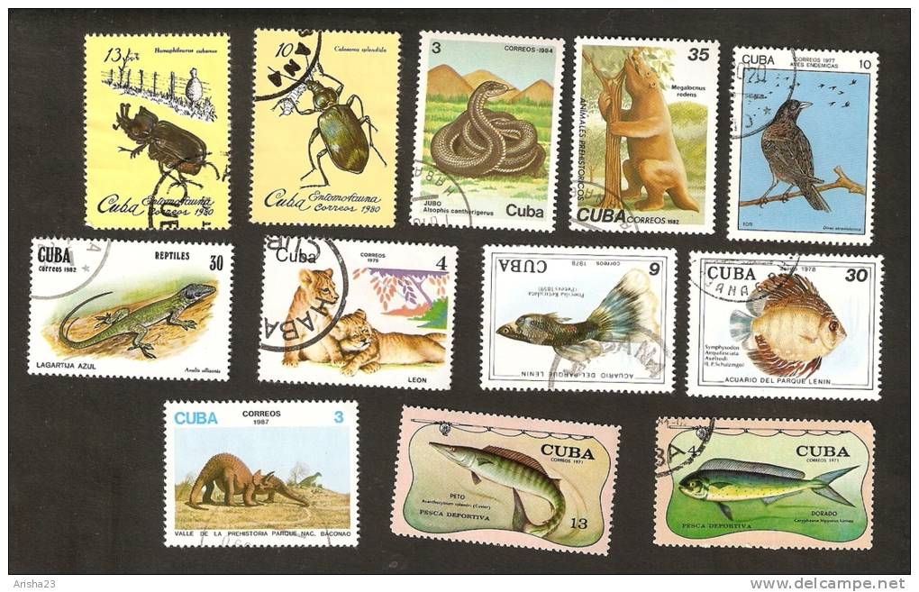 Bc.4. Cuba LOT Set Of 12 - FAUNA Animals 1977 Bird 1971 1978 Fish 1979 Lions 1980 Insects 1982 Reptiles Dinosaur 1984 - Usados