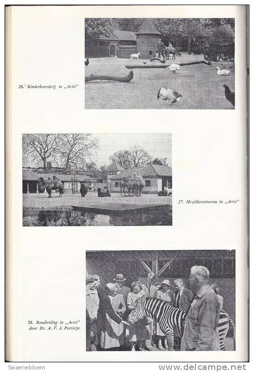 NL.- Boek - Dieren In Gevangenschap. Door Dr. A. Scheygrond. 1955 - Anciens