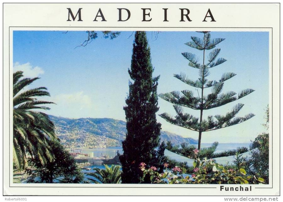 Portugal 1997 Picture Postcard From Funchal To Switzerland Franked With 98 E. Olympic Games Atlanta + 78 E. Cloth Seller - Estate 1996: Atlanta