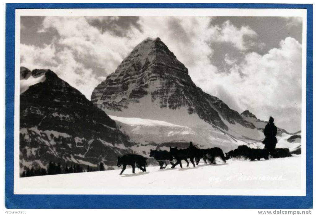 CANADA ALBERTA CARTE PHOTO MOUNT ASSINIBOINE  ATTELAGE CHIENS DE TRAINEAU - Autres & Non Classés