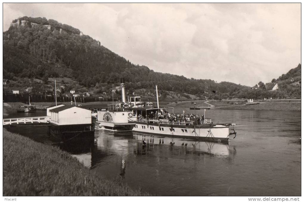 32061     Germania, Konigstein(Sachs.  Schweiz),  Stadt  Und  Festung,  VG - Koenigstein (Saechs. Schw.)