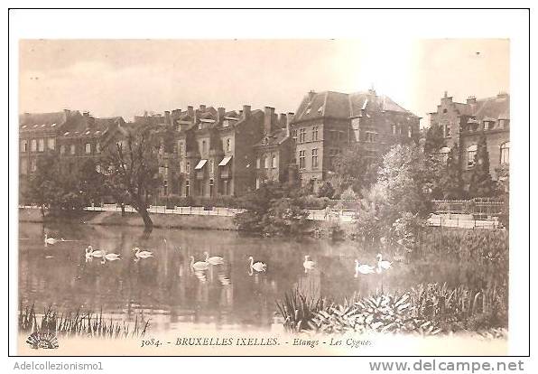 65948)cartolina Localita´ Di BRUXELLES - IXELLES - Foreste, Parchi, Giardini