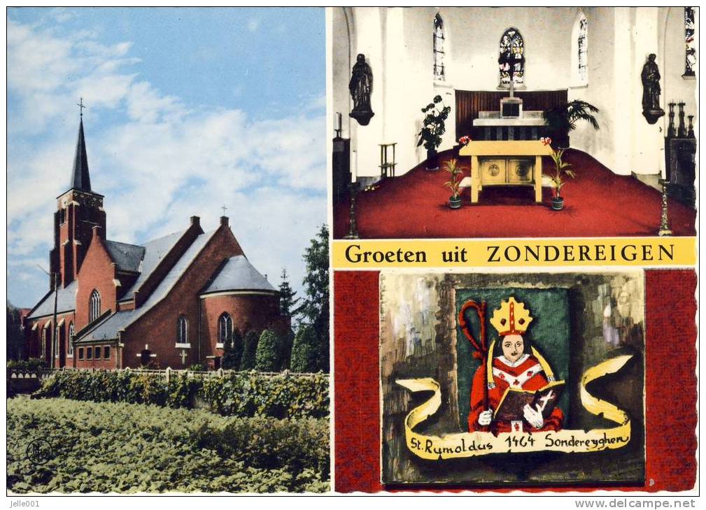 Zondereigen Sint Rumolduskerk - Baarle-Hertog